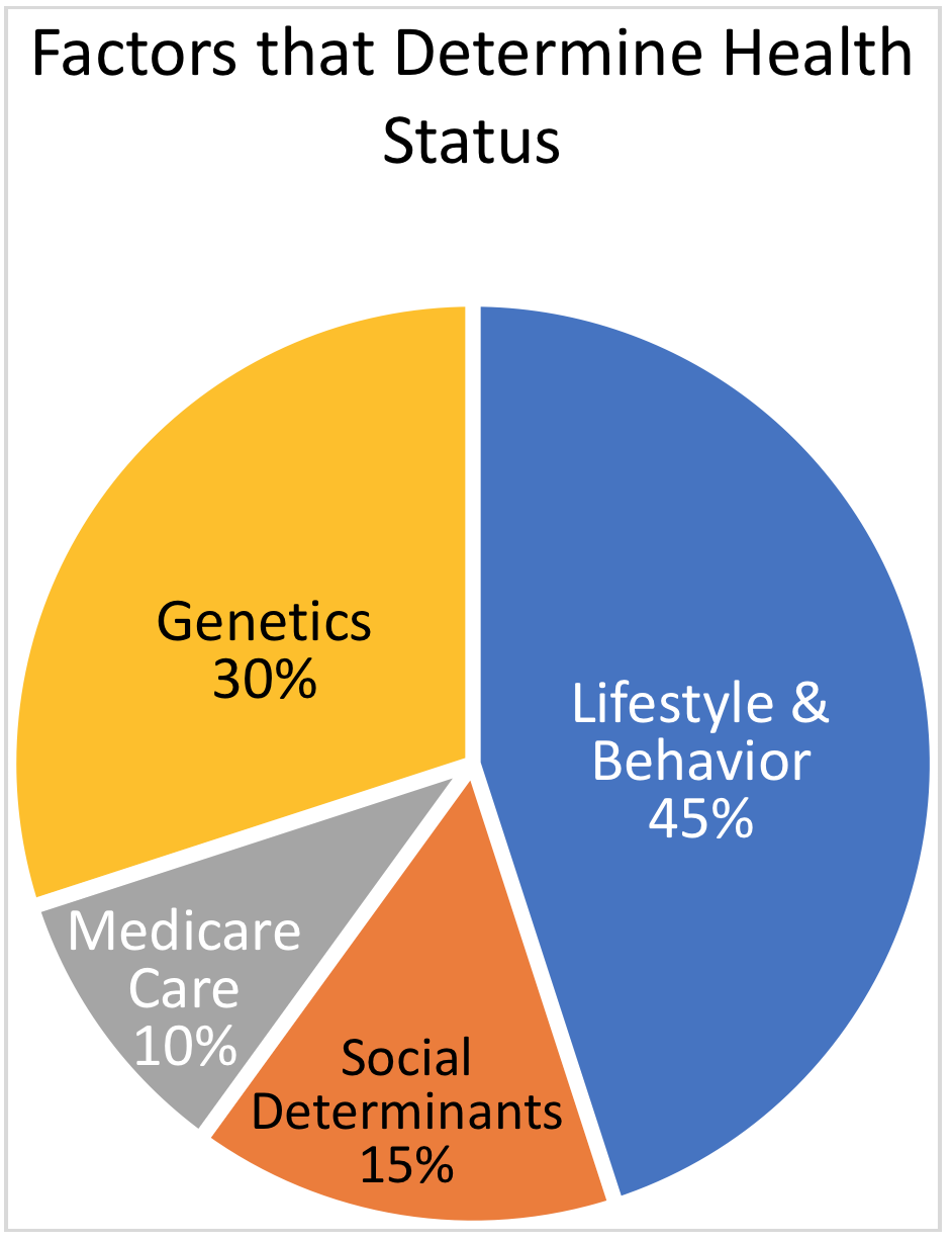 factors that determine health status