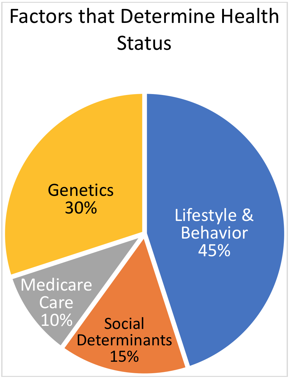 HealthCall-ROI-Analysis-Pie-Chart factors that determine health status