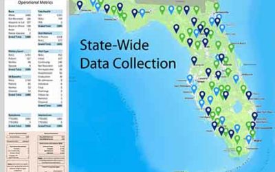Why Statewide Data Collection Changes Everything